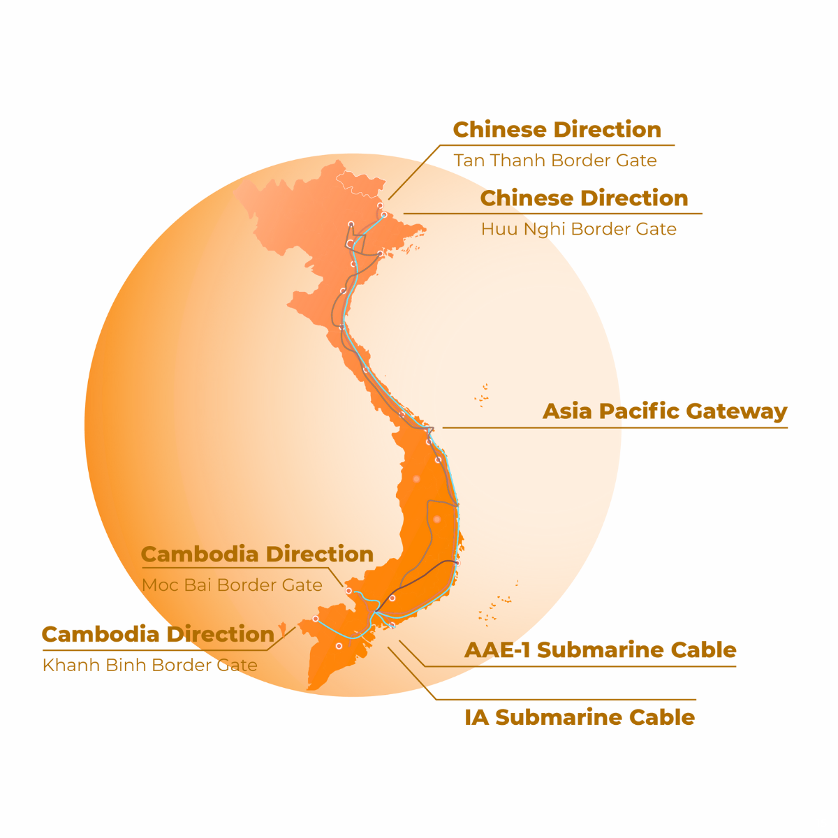 Giới thiệu VNM (4)