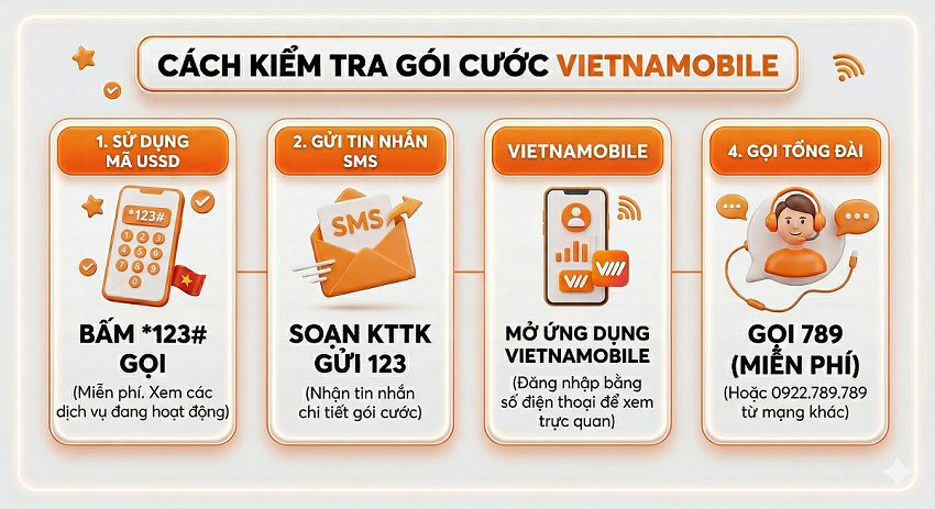 huong-dan-cach-kiem-tra-goi-cuoc-vietnamobile-dang-dung-don-gian-1.png