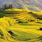 Don’t Buy Expensive Vietnam Tourist SIMs Anymore! Here’s the Smart Way to Save on Data & Travel Costs.